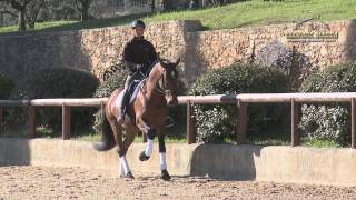 Le rêve olympique d'Aron de Massa