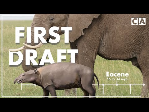 Early Versions of Familiar Mammals