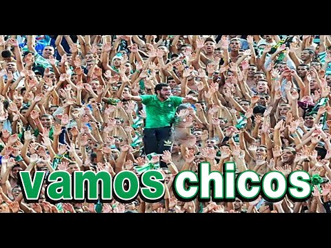Magana - vamos ' chicos - HD أقرب كاميرا للجمهور الرجاوي