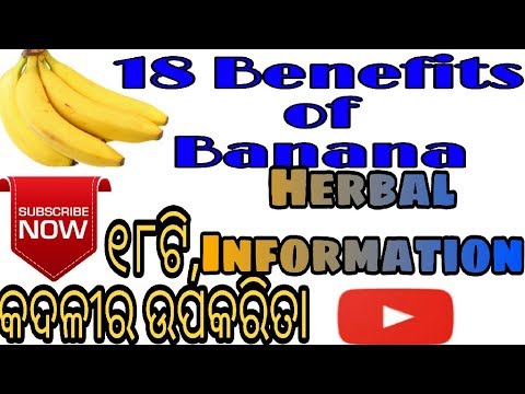 କଦଳୀର ଉପକାରିତା,18 benefits of banana in odia,herbal infomation - 6,varkha Video