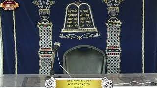 בית המדרש "תורת דוד" ¤ שידור חי ¤ כ"ד אב תשפ"ה (18.8.2024) (מוסדות תורת דוד) - התמונה מוצגת ישירות מתוך אתר האינטרנט יוטיוב. זכויות היוצרים בתמונה שייכות ליוצרה. קישור קרדיט למקור התוכן נמצא בתוך דף הסרטון