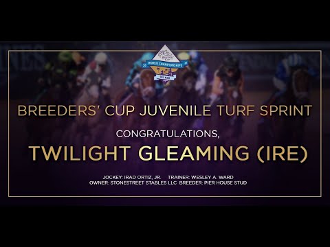 2021 Breeders' Cup Juvenile Turf Sprint - TWILIGHT GLEAMING (IRE)