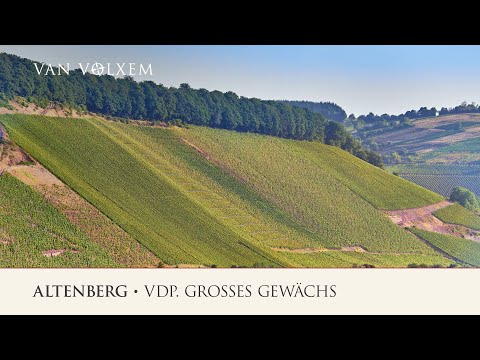 Weingut Van Volxem - die Lage "Altenberg" - VDP. Großes Gewächs