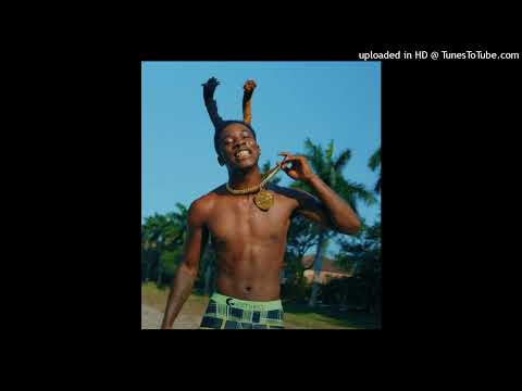 [FREE] Hotboii x YNW Melly Type Beat - "Vital"