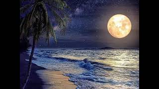 Schiller / Beach Music