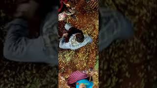 Download lagu Adhaaru Adhaaru Thala Ajith Whatsapp Status full-screen | Thala Ajith Whatsapp status new | Tamil mp3