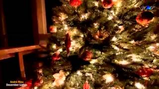 André Rieu - December Lights