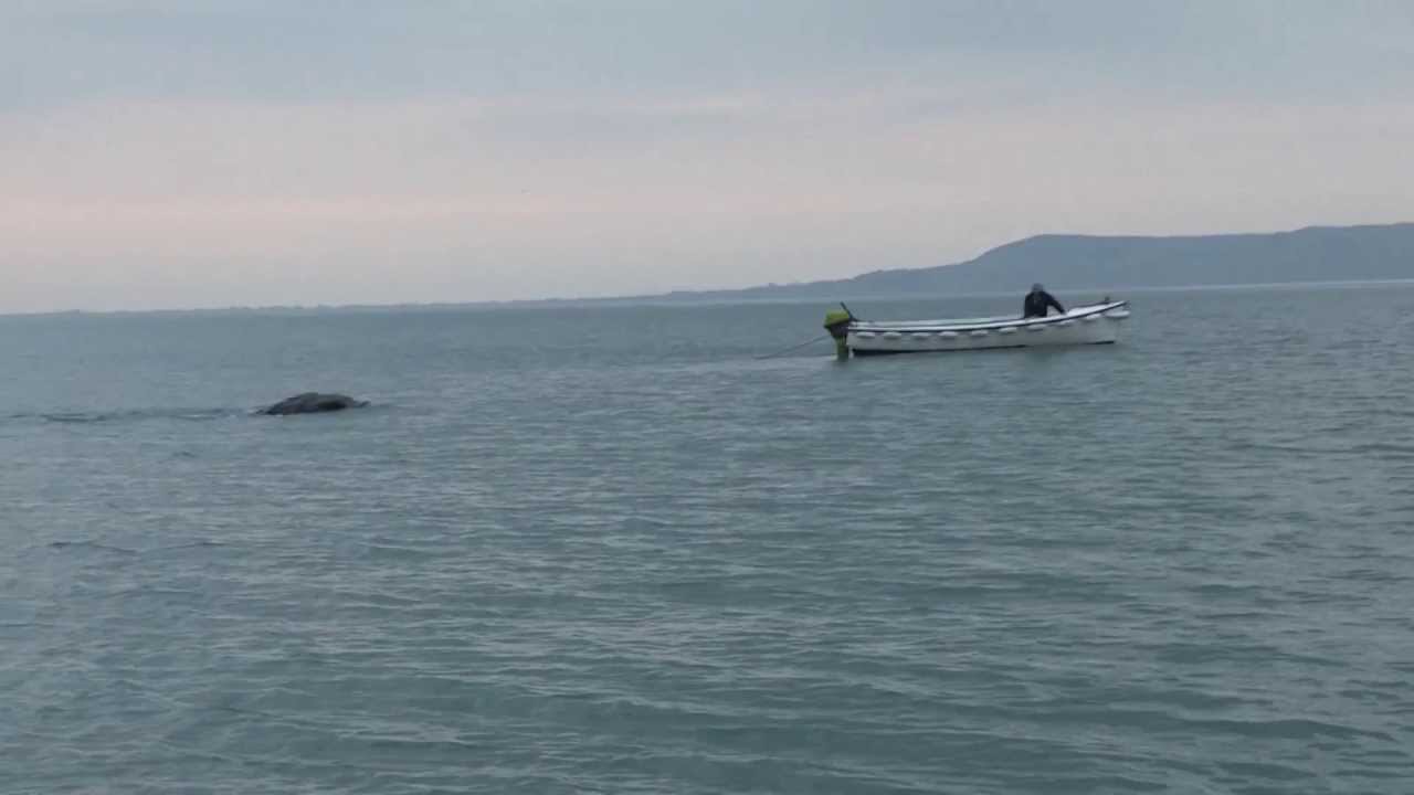 Monster in Lough Foyle! - YouTube