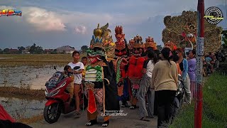 Download lagu REBUTAN ANAK - FAHMY | versi SKA || PPM || PUTRA PAI MUDA || Show balongadem wanguk mp3