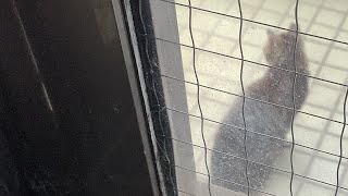 やばい　サムネ詐欺