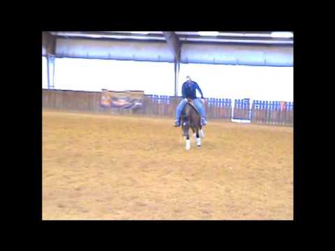 Criminal Intentions - 2012 Filly - Gunnatrashya x Princess In Diamonds