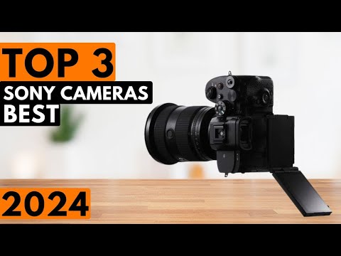 Top 3 BEST Sony Cameras in 2024