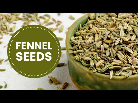 How to Use Fennel Seeds: The Chef's Best Kept Secret