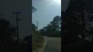 preview picture of video 'Road side Tea Gardens, Kunal Pathri Road, Dharamshala, Himachal Pradesh.'