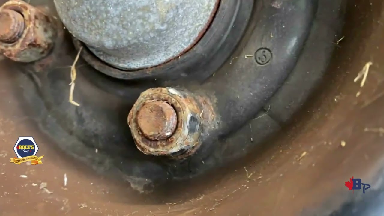 Bolt Biter Extraction Set