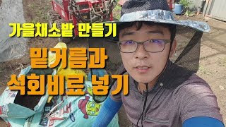가을채소파종시기 밭 만들기 밑거름과 석회비료 뿌리고 로타리치기 쪽파 배추 무 심기전 해야할일