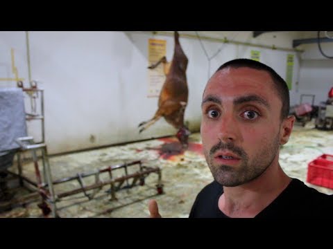 download lagu mp3 mp4 My Halal Meat, download lagu My Halal Meat gratis, unduh video klip My Halal Meat