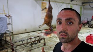 Vegan Witnesses INSANE Halal Slaughter
