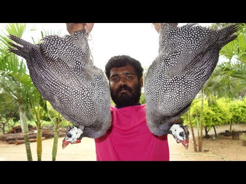 KING OF Guinea Fowl BIRYANI | VILLAGE FOOD