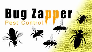 Honeybee Swarms | Should You Worry or Not?