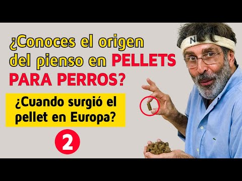 , title : '¿CONOCES EL ORIGEN DEL PIENSO EN PELLETS PARA PERROS EN EUROPA? (2)'