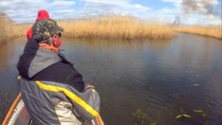 Pontoon 21 bet a shad