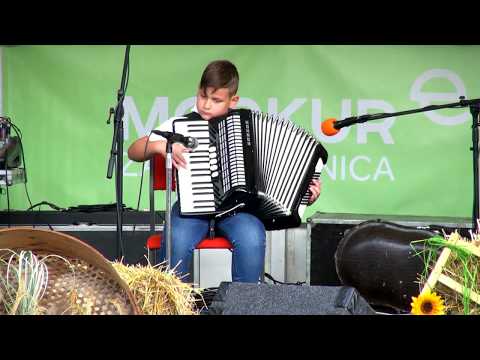 Jakob Tojnko - Lepe ste ve Karavanke (v živo)