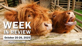 #GVLthisWeek: October 20-26, 2025