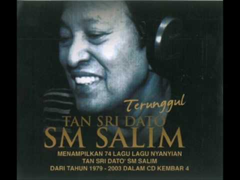 SM Salim & Sheila Majid - Entah Jadi Entah Tidak (Official Audio Video)