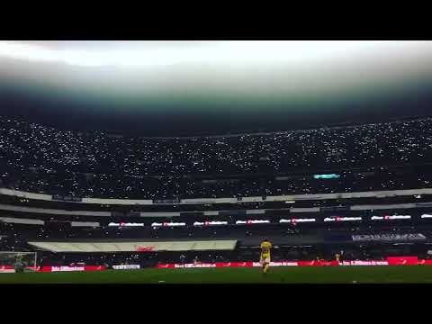 "La Sangre Azul (Cruz Azul) y afición haciéndose pesar en el Azteca vs Tigres." Barra: La Sangre Azul &bull; Club: Cruz Azul