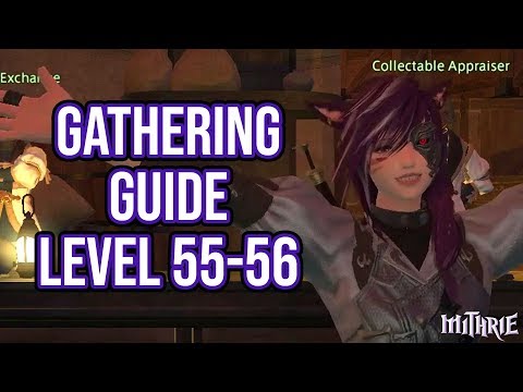 FFXIV 3.0 0677 Gathering Guide Level 55 to 56