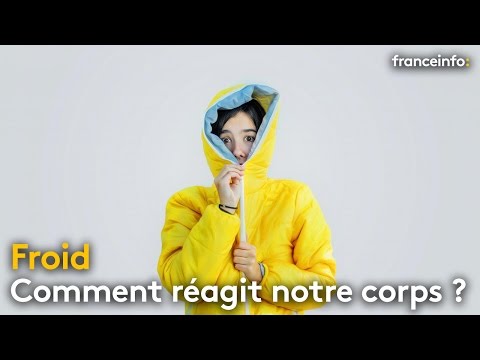 Fiziotenz ce qui applique Plâtres pour lhypertension