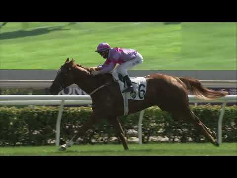 12/12/2021 (244) Good Runner - Z Purton