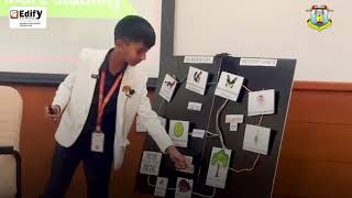 Edify School Video