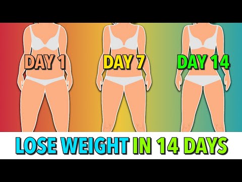 Day 2 Daily Weight Loss Routine 132 calories