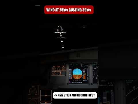 EPIC BUTTER LANDING WITH 22kts GUSTING CROSSWIND | MSFS 2020 Fenix A320