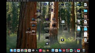 Live Chaos Coding: Intense 9 hour Social Media Growth Session