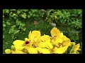 Rasave Enna Theriyalaiya Raja Rajeswari Without Music
