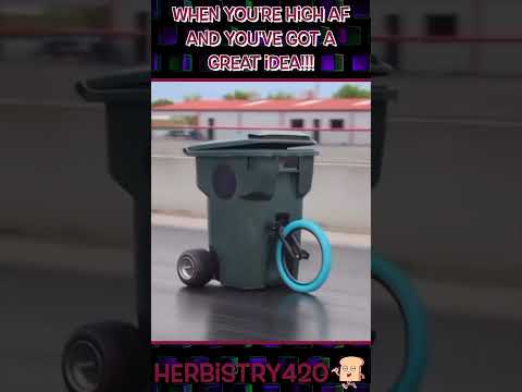 Brilliant Stoner Ideas: 5 Hilariously Creative Highs