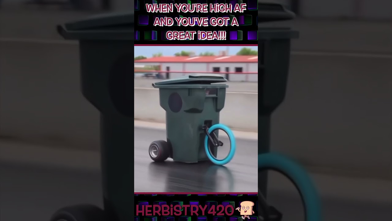 Brilliant Stoner Ideas: 5 Hilariously Creative Highs