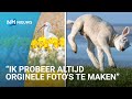Texelse fotograaf brengt troostbeelden voor de thuisblijvers