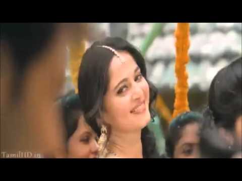 Kirti kumar soni groom in th...