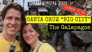 Santa Cruz | Travel to Galápagos Islands - Things to do Puerto Ayora 2021