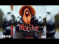 Nicki Minaj - Murder (Ft. Megan Thee Stallion) (Audio) [MASHUP]