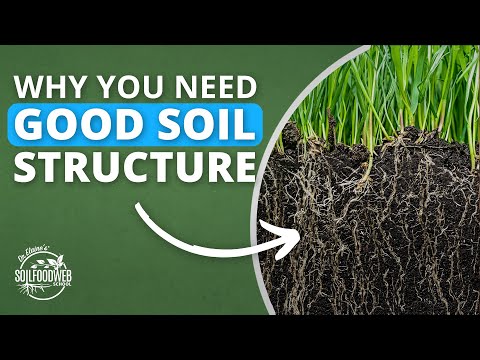 Building Structure In Soil | Soil Food Web School