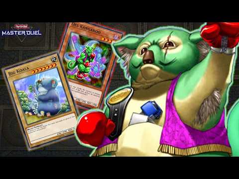 Yu-Gi-Oh! Master Duel: Koala Deck Fun Gameplay & Strategy Analysis | Vortex  Gaming