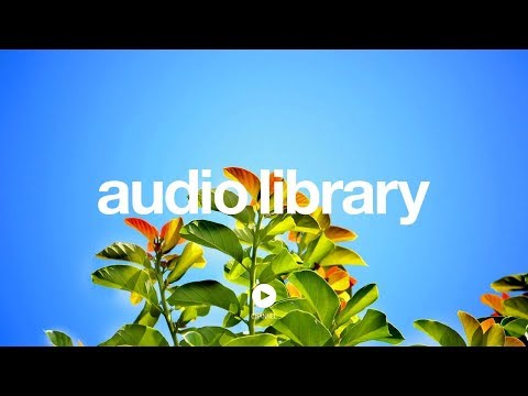 At The Fair – The Green Orbs (No Copyright Music)