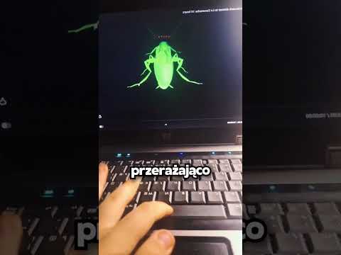 Tego Nigdy Nie Rób Z Komputerem 😨😨