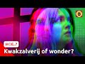 Een GODDELIJKE ervaring beleven | HOE..?