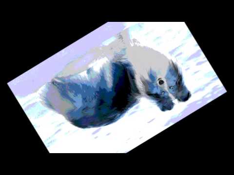 Reanimator Feat Big Daddy & Vanilla Ice  Ice Ice Baby DJAltdancerockers of Love 2016 Dance Core Mix